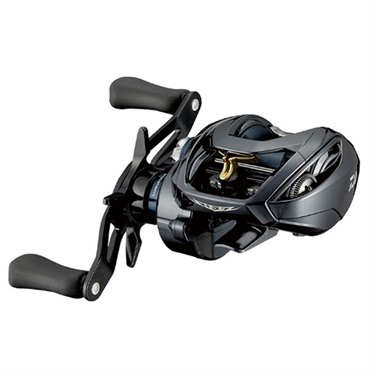 スティーズ A TW HLC